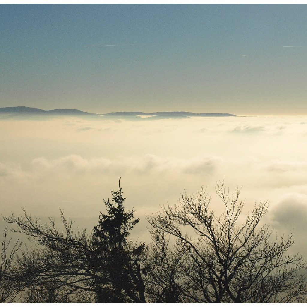 16nov12_03-1-1024x1024 Inversion und Hochnebel