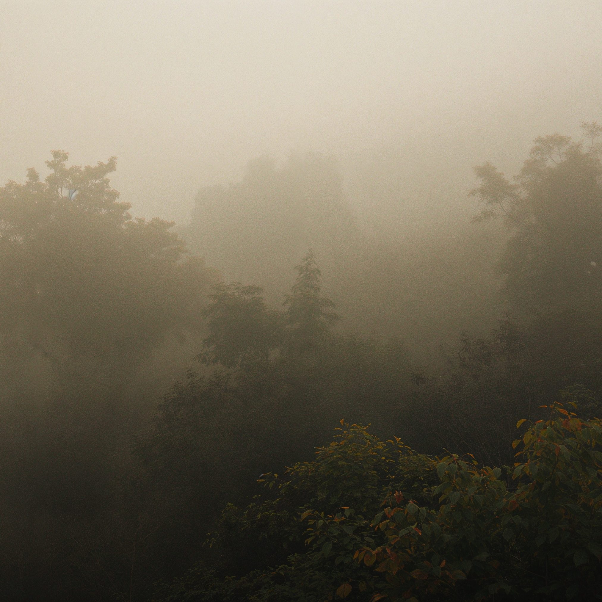 AdobeStock_1764383423-2024x2024 Nebel und Hochnebel was steckt wirklich dahinter?