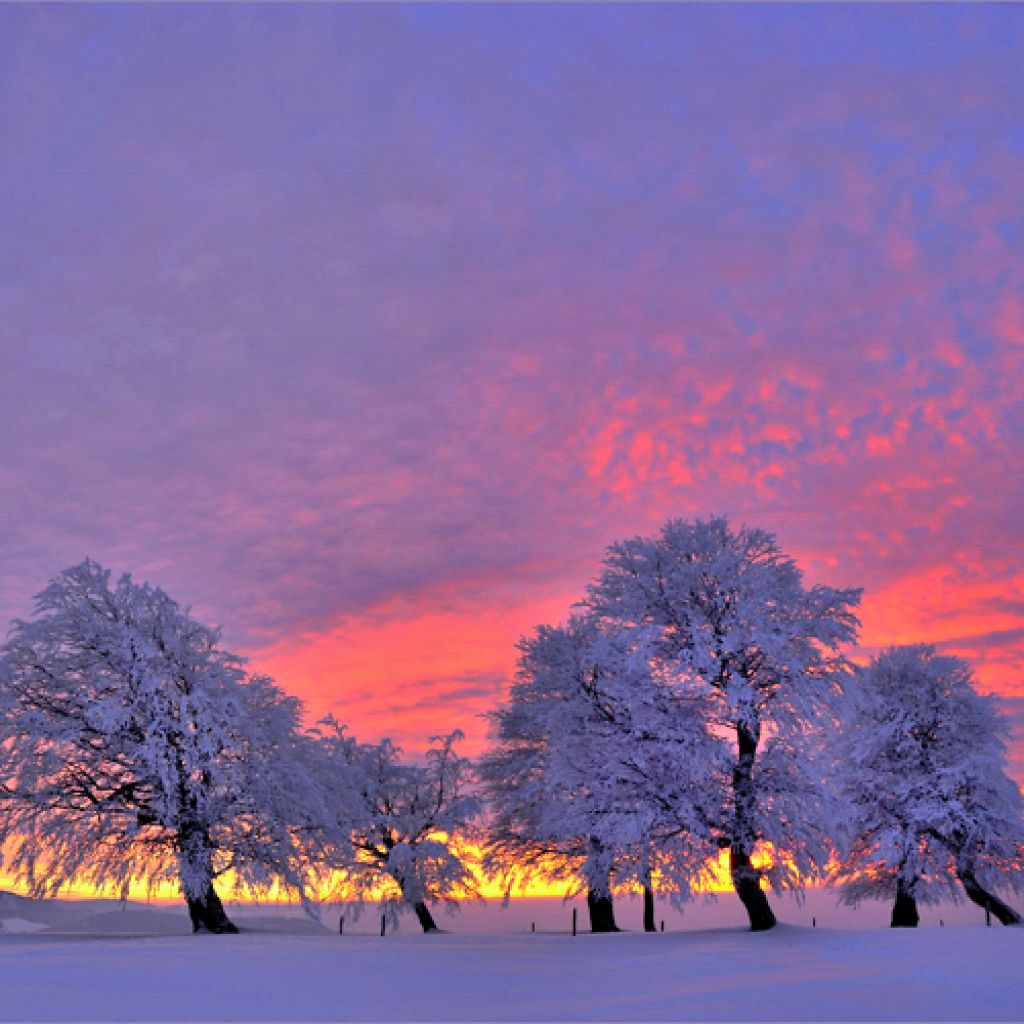 image-2024x2024 Deutschland erlebt das erste winterliche Wochenende!