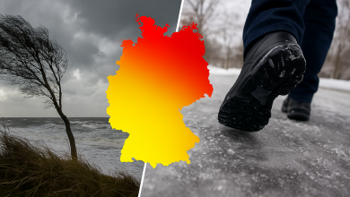 ChatGPT Image 2. Dez. 2025 09 49 01