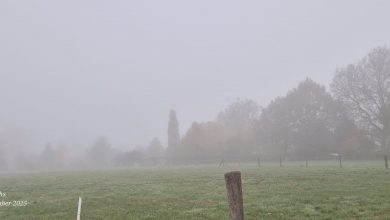 WhatsApp Image 2025 12 04 at 09.36.43