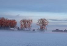 facebook 1548937800284