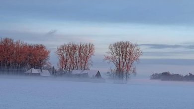 facebook 1548937800284