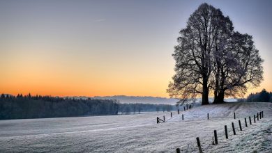 feld umgeben von hugeln und kahlen baumen die wahrend des sonnenuntergangs im winter mit schnee bedeckt sind