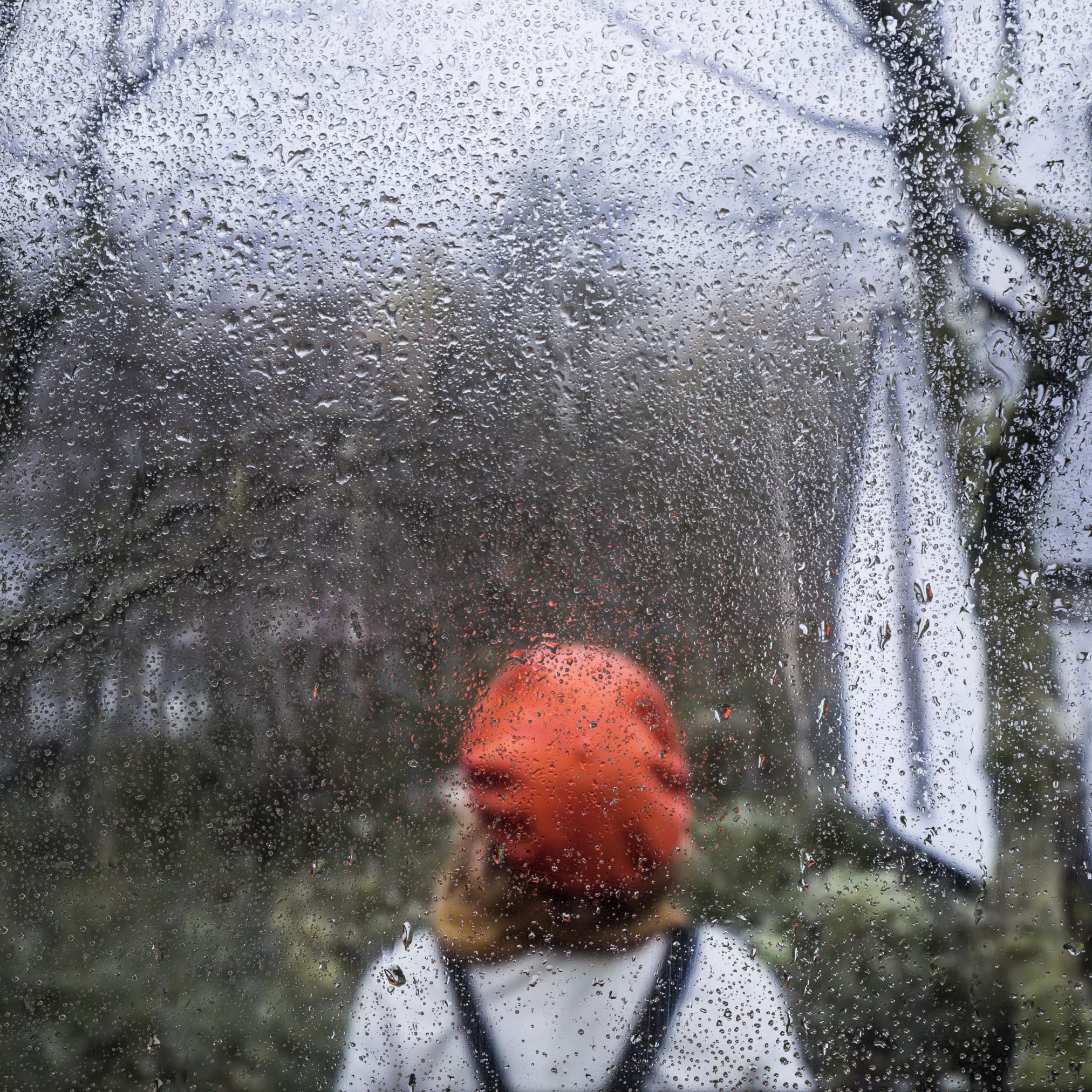 regeneffekt-auf-naturhintergrund-2024x2024 Keine Spur von Winterwetter am 2. Adventwochenende