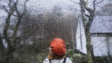 regeneffekt auf naturhintergrund