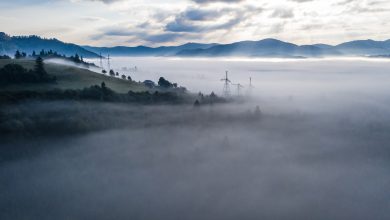 vogelperspektive des bunten mischwaldes eingehullt morgennebel einem schonen herbsttag