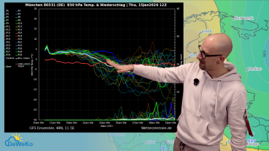 DeWeKo Studio 16.01.2026
