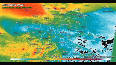 DeWeKo icon d2 de api wind F38 1767900021321