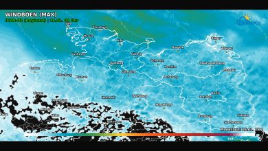 DeWeKo icon d2 norden wind F40 1768581541738