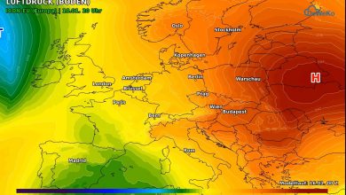 WhatsApp Image 2026 01 16 at 09.30.08