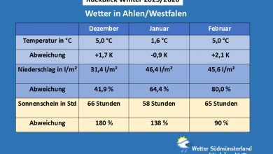 Quartalsueberblick Winter 25 26