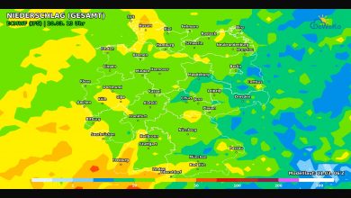 DeWeKo ecmwf de 10d rain sum F216 1773245559815