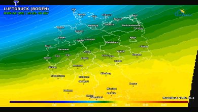 DeWeKo icon d2 de api pressure F47 1774260318323