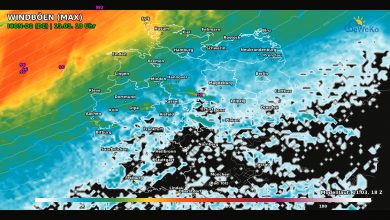 DeWeKo icon d2 de api wind F47 1773260162576