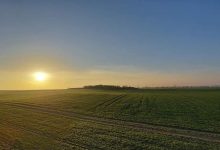 facebook 1617082744103 6782536621926323872