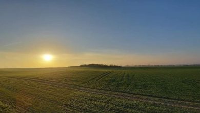 facebook 1617082744103 6782536621926323872