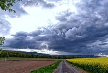 aprilwetter wolken sonne blumen wetter natur 100 v img 16 9 xl d31c35f8186ebeb80b0cd843a7c267a0e0c81647