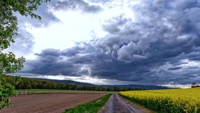 aprilwetter wolken sonne blumen wetter natur 100 v img 16 9 xl d31c35f8186ebeb80b0cd843a7c267a0e0c81647